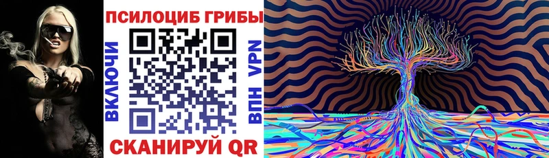 Галлюциногенные грибы мицелий  купить  сайты  Буинск 