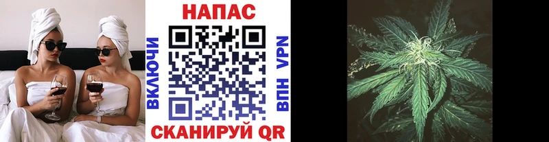 Бошки Шишки марихуана  Буинск 